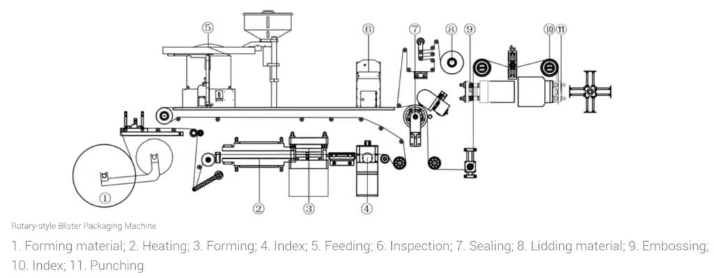 Rotary-style Blister Packaging Machine to explain capsules blistered packaging process